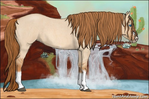 Horse Color: Red Dun Roan Splash Frame Rabicano 
