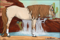 Horse Color:Red Dun Roan Splash Frame Rabicano