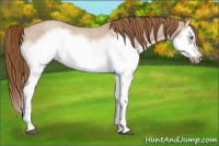 Horse Color:Red Dun Roan Splash Frame Rabicano