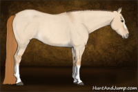 Horse Color:Red Dun Roan Splash Frame Rabicano 