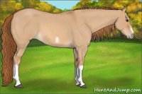 Horse Color:Red Dun Roan Splash Frame Rabicano