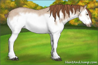 Horse Color:Red Dun Roan Splash Frame Rabicano 