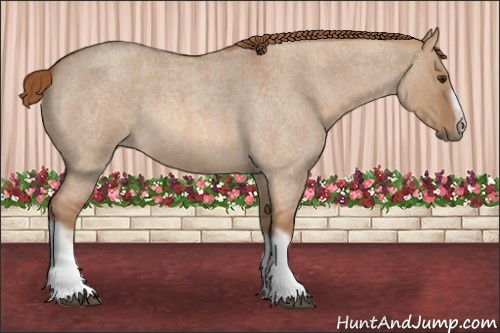 Horse Color: Red Dun Roan Splash Frame Rabicano 