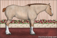 Horse Color:Red Dun Roan Splash Frame Rabicano