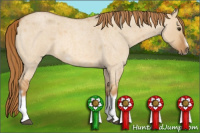Horse Color:Red Dun Roan Splash Frame Rabicano 