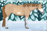Horse Color:Red Dun Roan Splash Frame Rabicano 