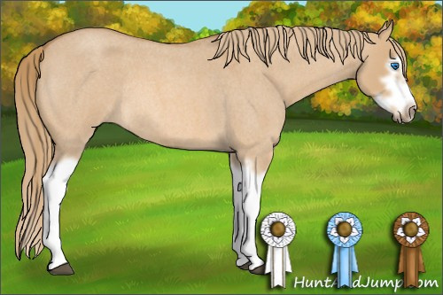 Horse Color: Red Dun Roan Splash Frame Rabicano 