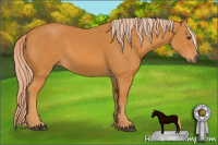Horse Color:Chocolate Palomino 