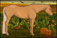 Horse Color:Chocolate Palomino 