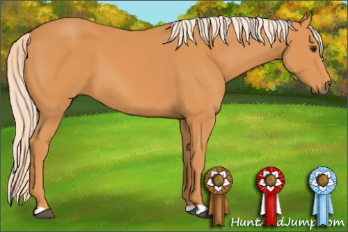 Horse Color: Chocolate Palomino 
