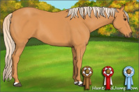 Horse Color:Chocolate Palomino 