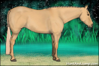 Horse Color:Chocolate Palomino Dun 