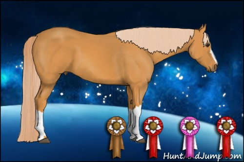 Horse Color: Chocolate Palomino 
