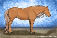 Horse Color:Chocolate Palomino 