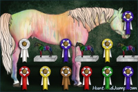 Horse Color:Chocolate Palomino Ice Splash 