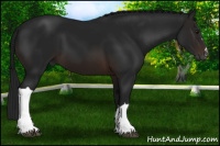 Horse Color:Gray Bay