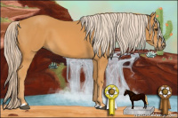 Horse Color:Chocolate Palomino 