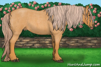 Horse Color:Chocolate Palomino Roan 