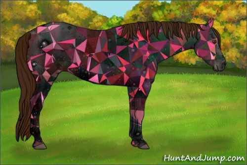 Horse Color: ERROR: UNKNOWN ANOMALY