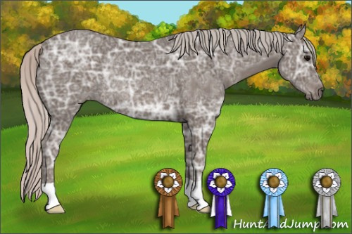 Horse Color: Silver Black Ice Rabicano 