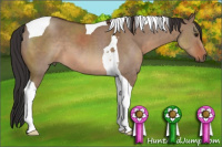 Horse Color:Brown Dun Tobiano 
