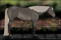 Horse Color:Gray Silver Brown Sabino