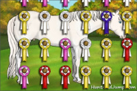 Horse Color:White Spotted Cremello Dun Sabino 