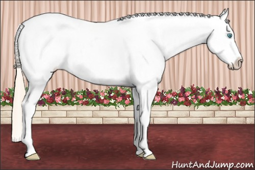 Horse Color: White Spotted Perlino Dun Splash Tobiano Near Leopard Rabicano 