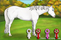 Horse Color:White Spotted Perlino Splash 