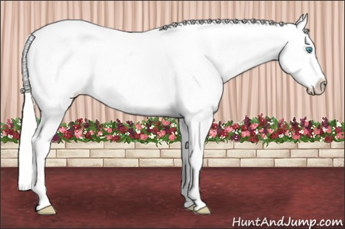 Horse Color: White Spotted Silver Perlino Near Leopard 
