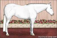 Horse Color:White Spotted Silver Perlino Appaloosa 