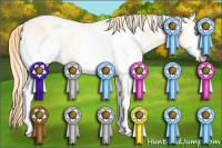 Horse Color:White Spotted Buckskin Pearl Dun 