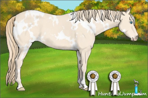 Horse Color: White Spotted Perlino 