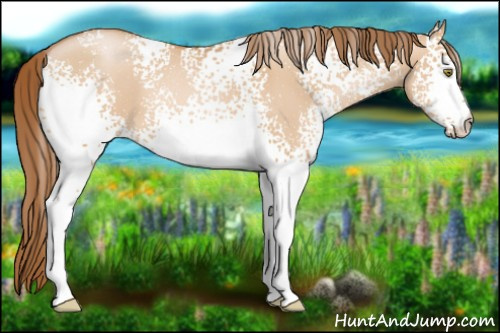Horse Color: White Spotted Bay Pearl Dun 