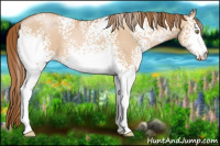 Horse Color:White Spotted Bay Pearl Dun 