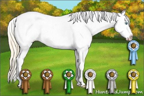 Horse Color: White Spotted Buckskin Pearl Sabino Near Leopard 