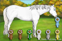 Horse Color:White Spotted Buckskin Pearl Sabino Near Leopard 