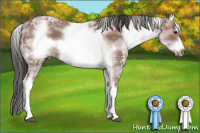 Horse Color:White Spotted Bay Ice Frame 