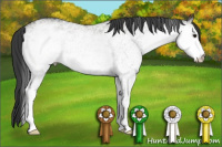 Horse Color:White Spotted Grullo