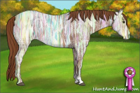Horse Color:Liver Chestnut Ice 