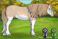 Horse Color:Red Dun Splash 