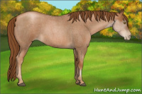 Horse Color:Gray Red Roan Pearl 