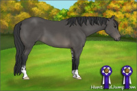 Horse Color:Black Sabino