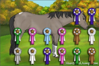 Horse Color:Grullo Tobiano Rabicano 