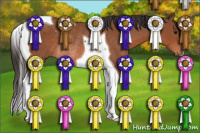 Horse Color:Bay Tobiano Rabicano