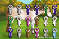 Horse Color:Bay Pearl Dun Sabino