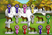 Horse Color:Grullo Sabino Rabicano 