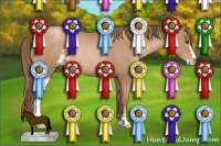 Horse Color:Black Pearl Sabino Rabicano 