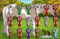 Horse Color:Silver Grullo Tobiano Rabicano 