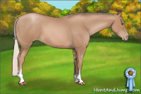 Horse Color:Silver Black Pearl Sabino 